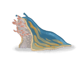 CORPSE_SLUG