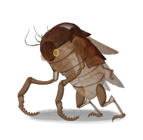 EXOSKELETON