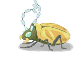 SHRINKER_BEETLE