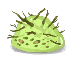 TWIG_SLIME_M