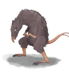 TWO_TAILED_RAT